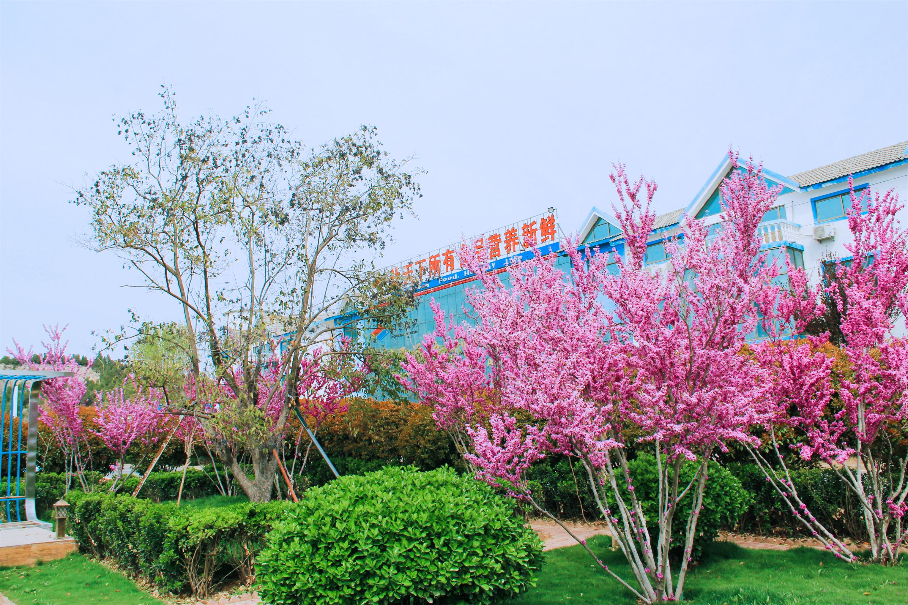 1585709628131645.jpg 1585709628131645.jpg