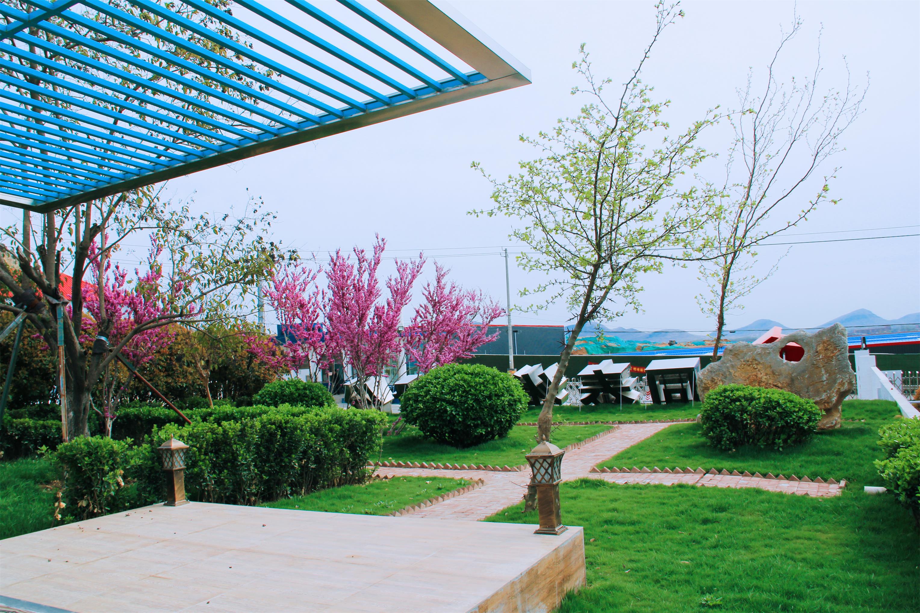 1585709902889439.jpg 1585709902889439.jpg